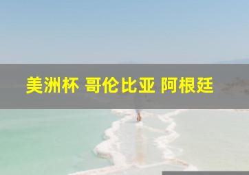 美洲杯 哥伦比亚 阿根廷